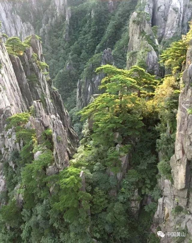 到饭店捞泔水油犯法吗？游戏画面